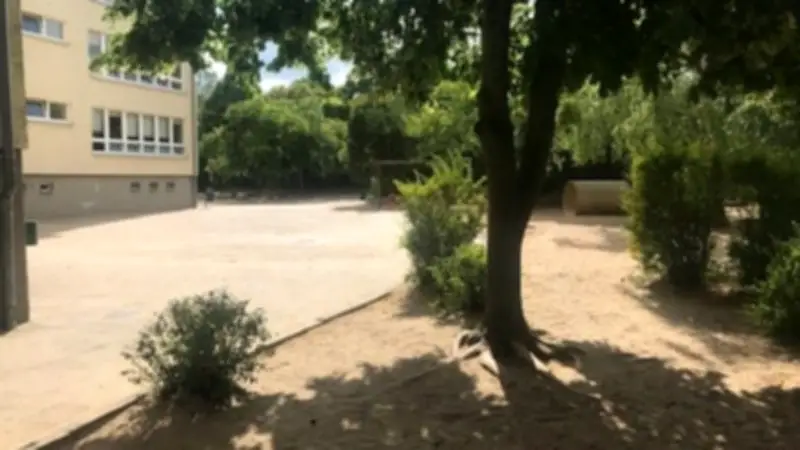 Feldberger Schulhof wird zur grünen Lern- und Bewegungslandschaft umgestaltet