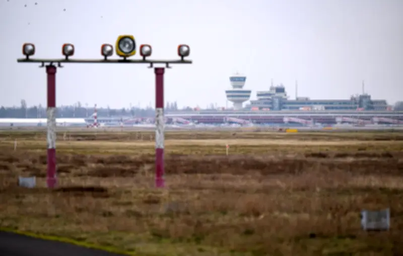 Feldlerchen auf Tegel-Gelände: Millionen-Investition für Artenschutz in Brandenburg