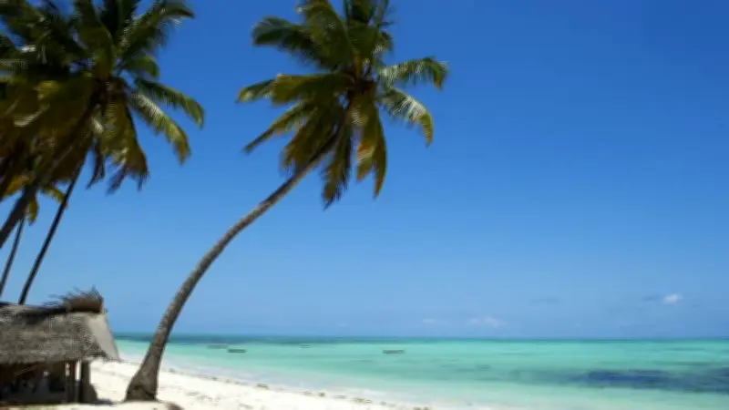 Fernreise-Chaos: Wie eine Traumreise nach Sansibar zum Albtraum wurde