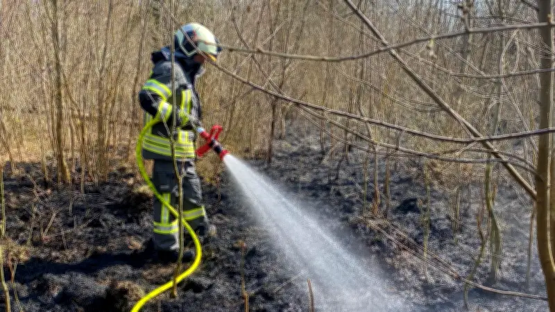Feuerwehr Aschersleben im Dauereinsatz: Erneut Großbrand auf der Alten Burg