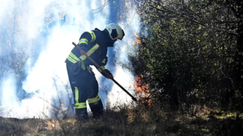 Feuerwehr bekämpft ersten großen Vegetationsbrand der Saison in Aschersleben