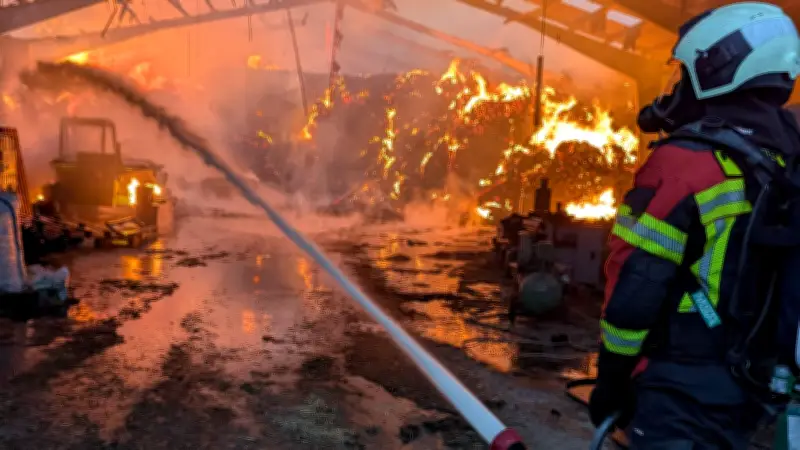 Feuerwehr-Ehrenamt in Nordwestmecklenburg: 3991 Einsätze zeigen beeindruckendes Engagement