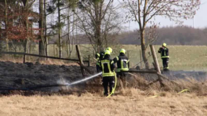 Feuerwehr-Einsätze in Uckermark: Kontrolliertes Abbrennen gerät außer Kontrolle