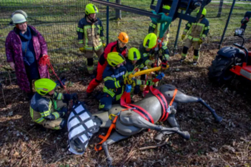 Feuerwehr Magdeburg übt Großtierrettung mit Dummypferd „Pedro“