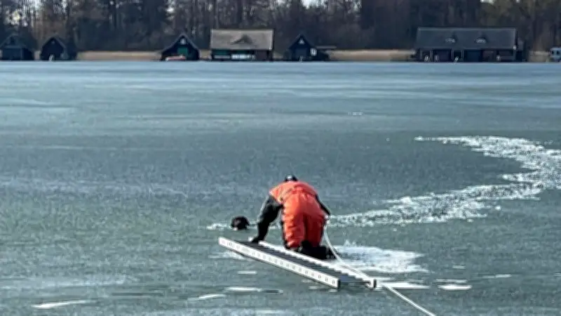Feuerwehrmann bricht selbst ins Eis ein, bevor er Labradorhündin aus Inselsee rettet