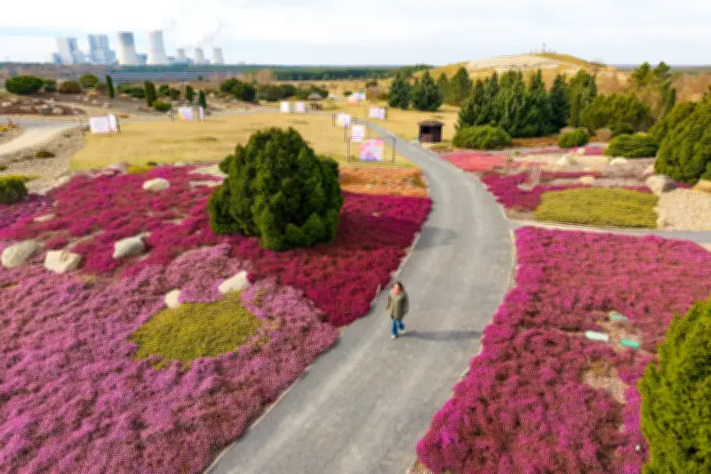 Findlingspark Nochten startet Saison mit Lichtkunst und Blütenpracht in der Lausitz