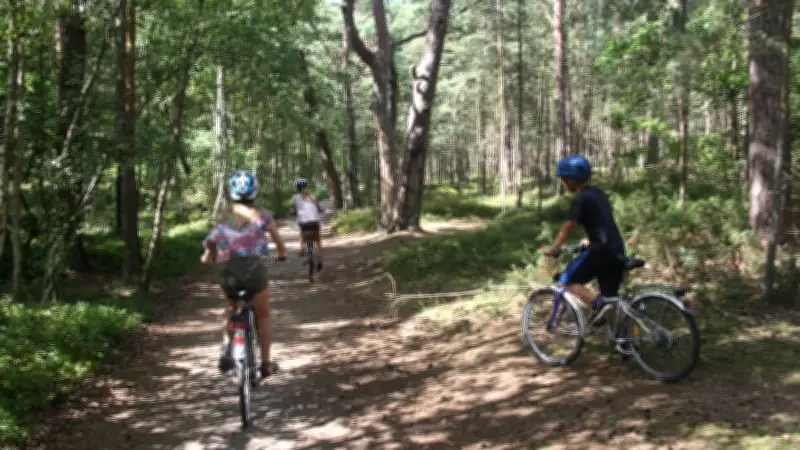 Fischland-Darß-Zingst: Per Rad die Ostsee-Halbinsel mit der Familie entdecken