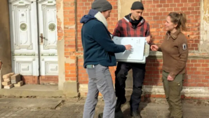 Fledermauskästen kostenlos: Uckermark setzt auf lautlose Mückenfresser in Altbauten