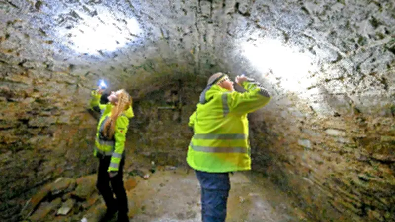 Fledermaussuche in Hoym: Gutachten entscheidet über Sanierung der historischen Fortuna