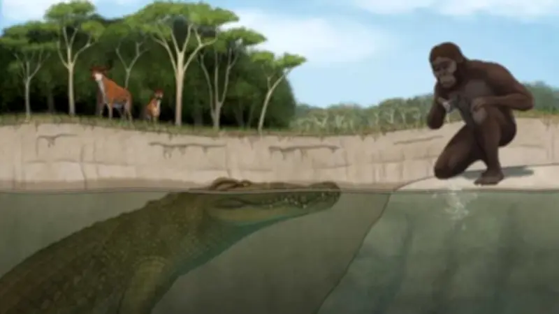 Fossilfund enthüllt: Prähistorisches Krokodil jagte unsere Vorfahren in Äthiopien