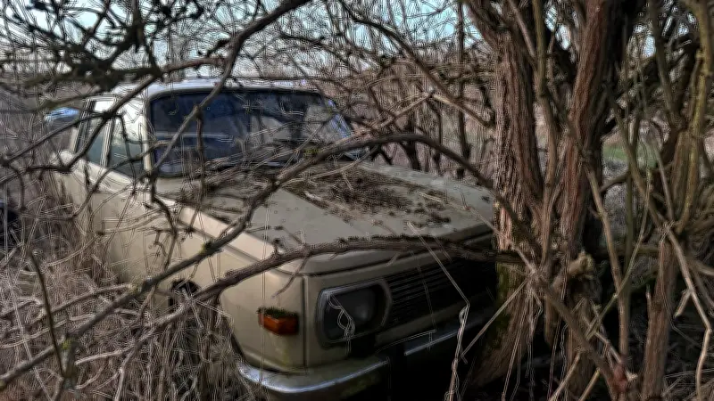 Fotoausstellung 'HausMannsKost' startet Café-Saison in Alt Rehse mit melancholischen Momenten