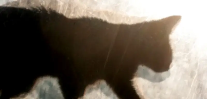 Freitag, der 13.: Statistiker entlarvt Unglücksdatum und nennt wahres Pechdatum