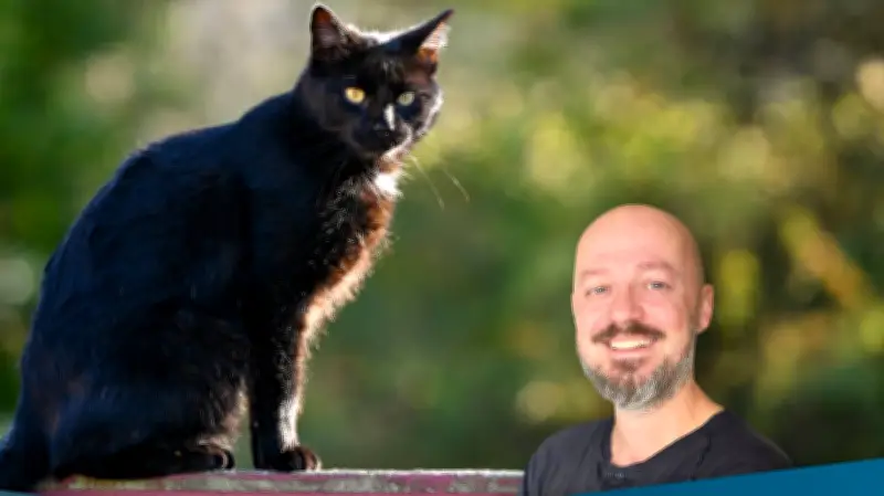 Freitag, der 13.: Wie alter Aberglaube die digitale Ära überdauert