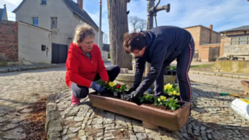 Frühjahrsputz in Merseburg: Vereine und Freiwillige säubern Stadt und Ortsteile