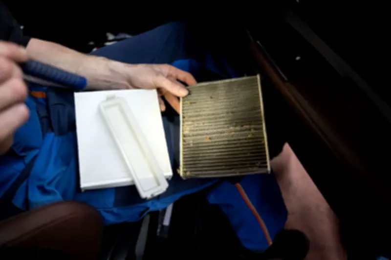 Frühling im Auto: Warum der Innenraumfilter jetzt besonders wichtig ist für Allergiker