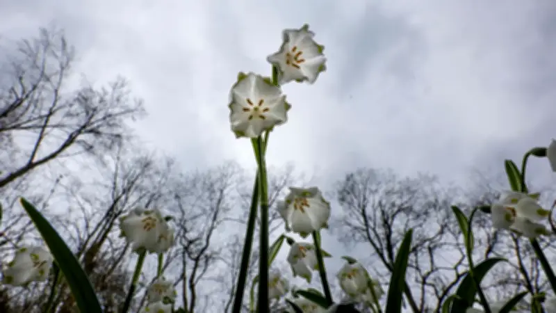 Frühling macht Pause: Osterwoche startet mit Regen, Schnee und stürmischen Böen