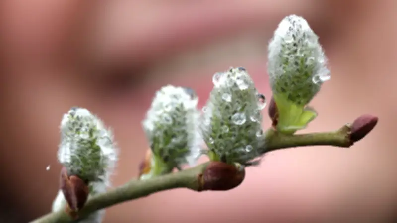 Frühling mit kurzem Kälteeinbruch: Temperatursturz zum Wochenende erwartet