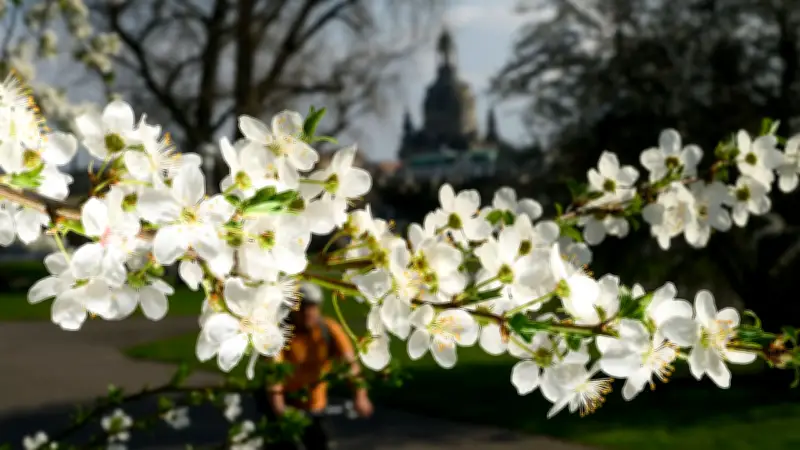 Frühling, Sommer, Herbst und Winter: Die Entstehung und Einteilung der Jahreszeiten
