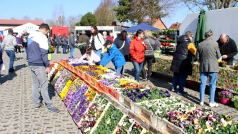 Frühlings- und Ostermarkt Blüthen: Traditioneller Saisonstart mit 50 Händlern und Bühnenprogramm