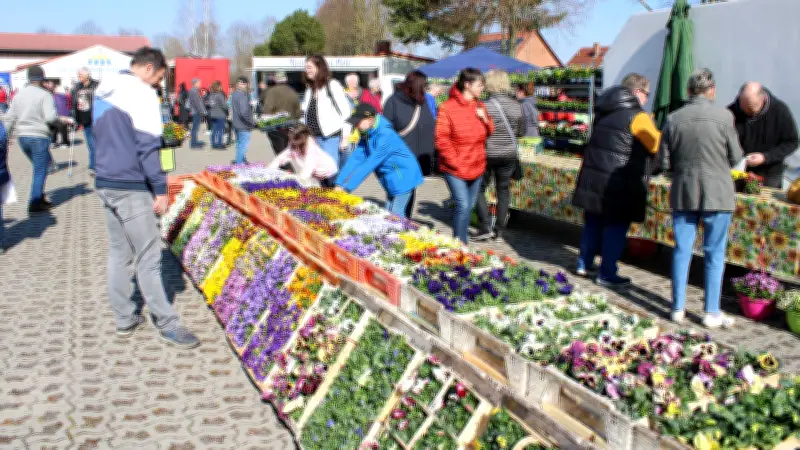 Frühlings- und Ostermarkt Blüthen: Traditioneller Saisonstart mit Blumen, Kunsthandwerk und Familienprogramm