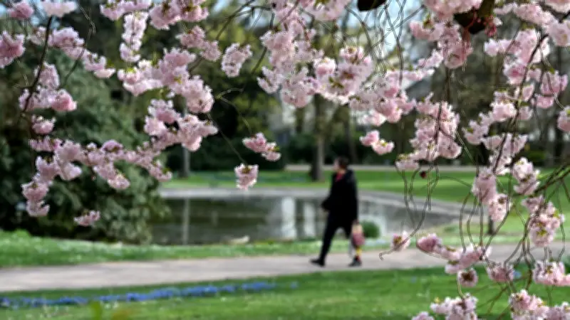 Frühlingsanfang 2026: Warum wir zwei Termine feiern und was die Jahreszeit für uns bedeutet
