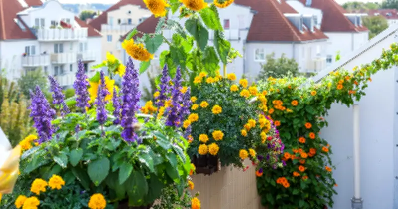 Frühlingsbepflanzung auf Balkon und Terrasse: Die besten Sorten und Tipps für 2026