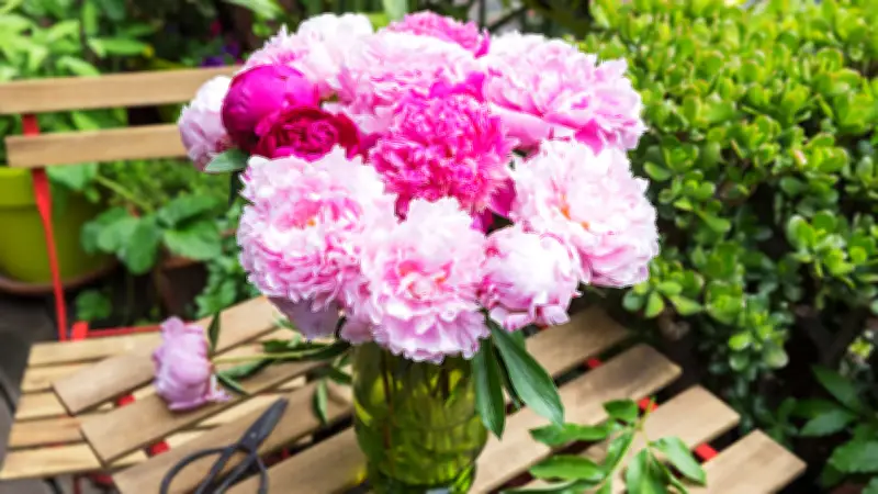 Frühlingserwachen für Ihre Terrasse: So machen Sie Ihren Außenbereich fit