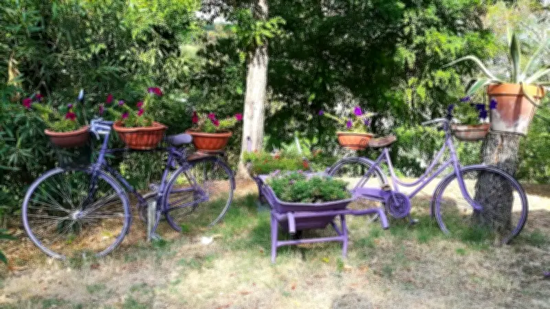 Frühlingserwachen im Garten: 5 kreative DIY-Projekte für unter 50 Euro