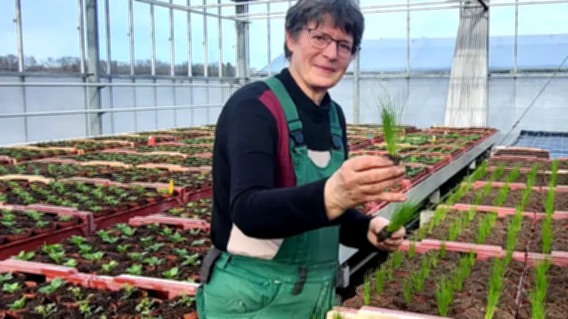 Frühlingserwachen in der Uckermark: Gärtnerei startet mit exotischen Pflanzen in die Saison