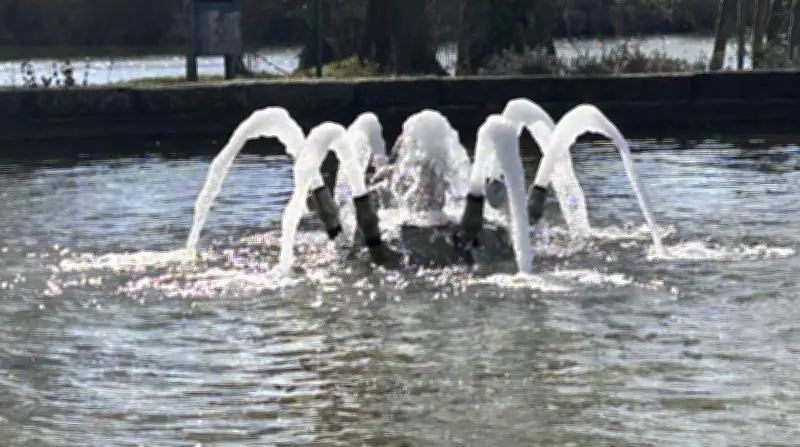 Frühlingserwachen in Zörbig: Springbrunnen am Leipziger Teich sprudelt wieder