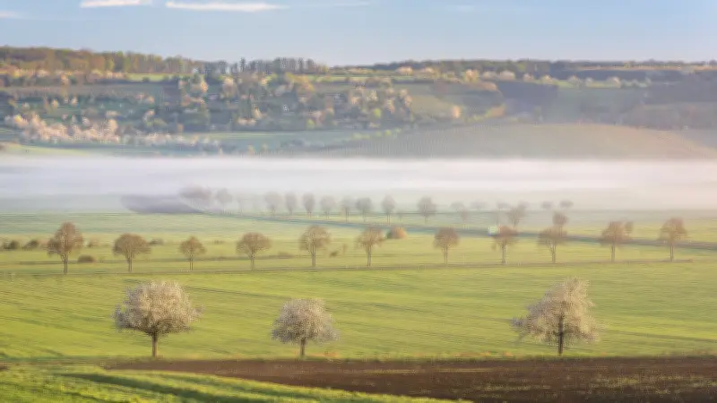 Frühlingshafte Temperaturen in Sachsen-Anhalt: Wetter bleibt mild, doch Regen und Sturmböen kündigen sich an