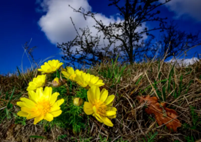 Frühlingshafte Temperaturen kehren nach Berlin und Brandenburg zurück
