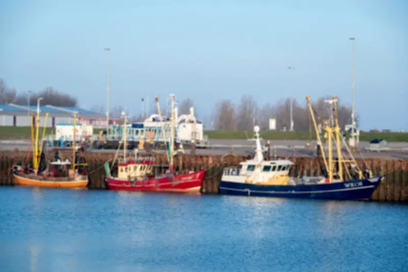 Frühlingshaftes Wochenende in Niedersachsen: Sonne und milde Temperaturen