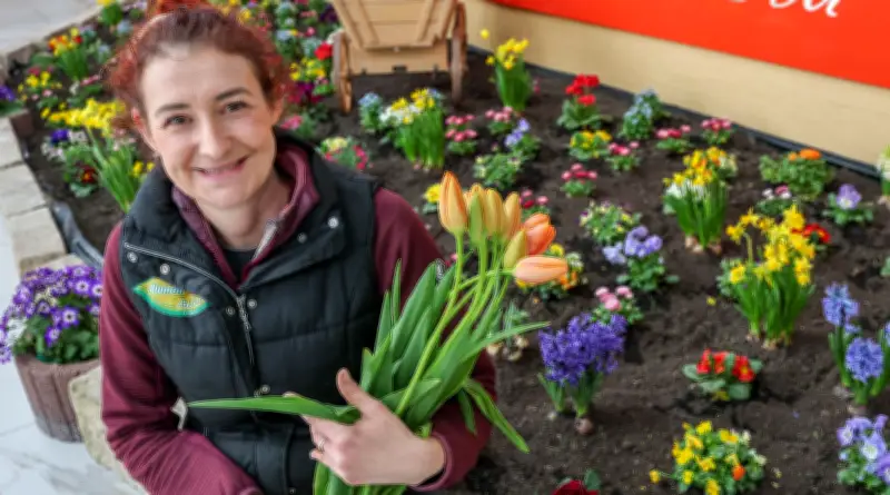 Frühlingsmarkt im Center Schöne Aussicht lockt mit floraler Pracht und gutem Besuch