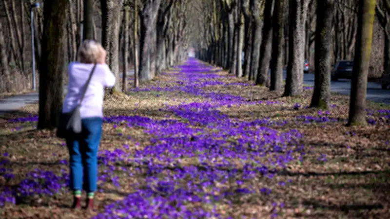 Frühlingswetter hält an: Temperaturen bis 20 Grad in ganz Deutschland erwartet
