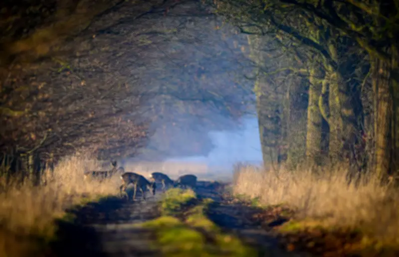 Frühlingswetter in Brandenburg: Sonne am Tag, Frost in der Nacht