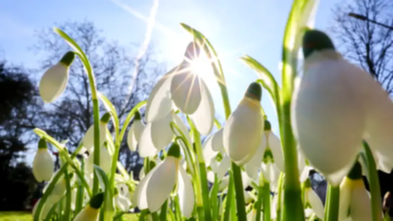 Frühlingswetter kehrt zurück: Sonne und bis zu 18 Grad in der neuen Woche