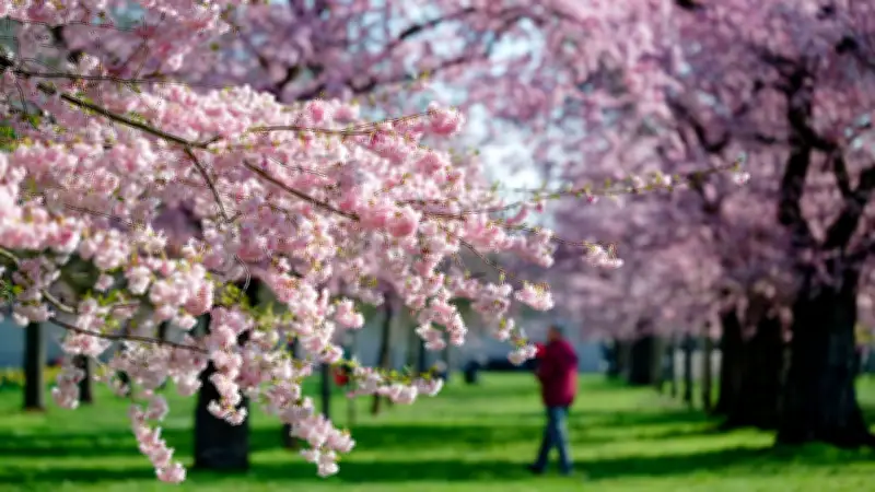 Frühlingswetter lockt mit Sonne und milden Temperaturen - aber nur noch kurz
