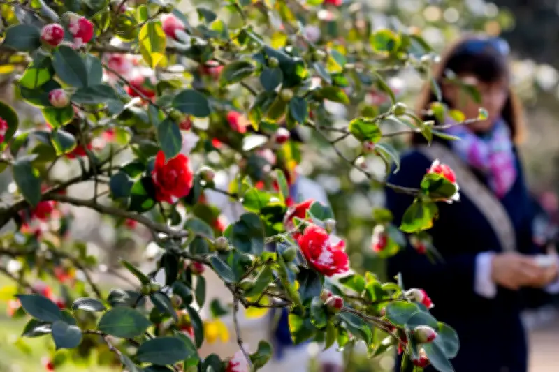 Frühlingswetter mit Nebel, Schauern und vereinzelten Gewittern in der neuen Woche