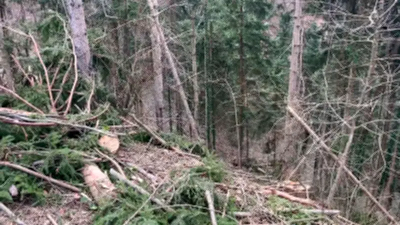 Fürst von Thurn und Taxis bei Rallye-Unfall in Österreich verunglückt