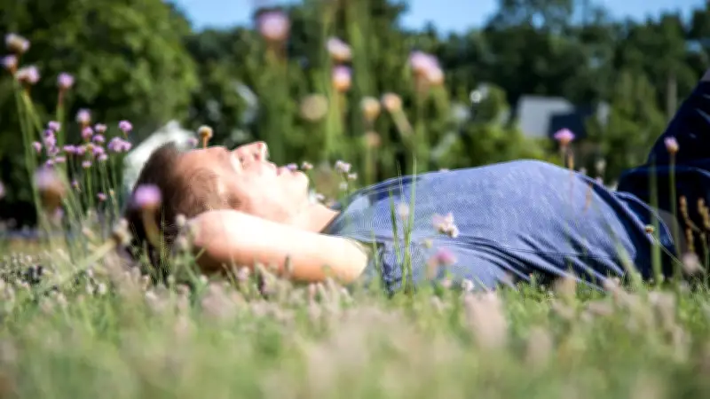 FSME-Alarm: Ganz Deutschland jetzt Risikogebiet - Zecken ganzjährig aktiv