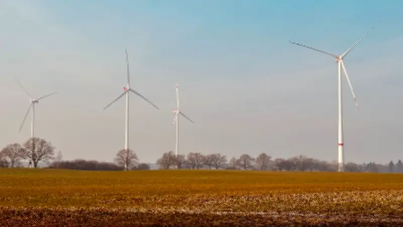 Gadebusch: Stadtvertreter stimmen für Bürgerbefragung zu Windkraftprojekt