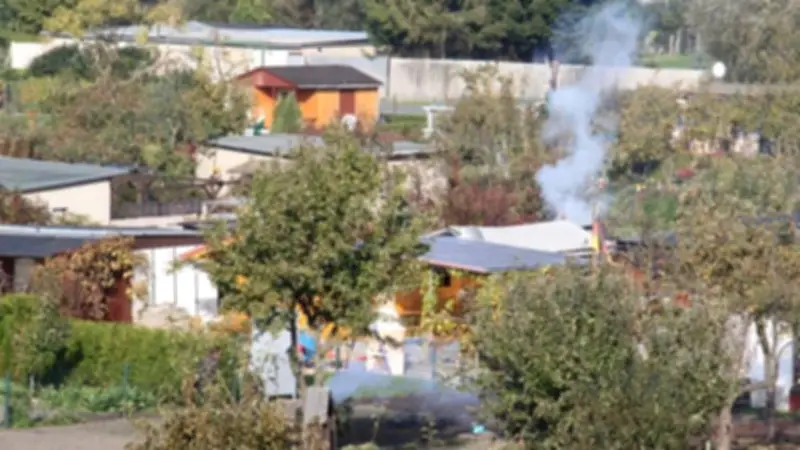 Gartenabfall-Verbrennung in Mecklenburg-Vorpommern ab 2029 vollständig untersagt