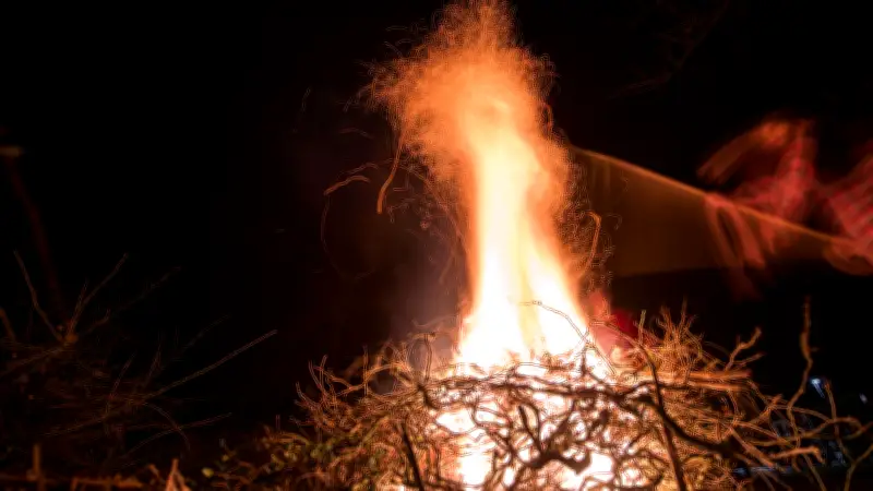 Gartenabfälle verbrennen in Sachsen-Anhalt: Regionale Regeln und Alternativen