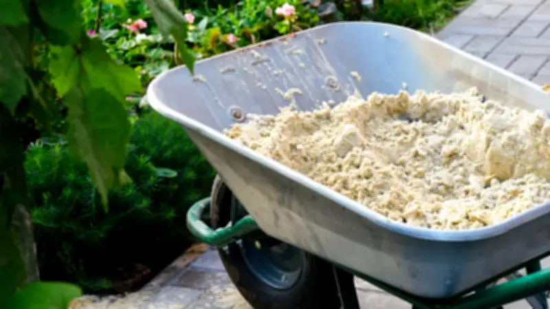 Gartenexperte erklärt: Warum Sanden Ihren Rasen gesünder und dichter macht