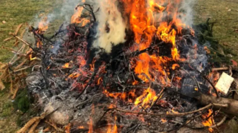 Gartenfeuer in Dargun: Bußgelder bis 100.000 Euro drohen bei illegalem Abbrennen