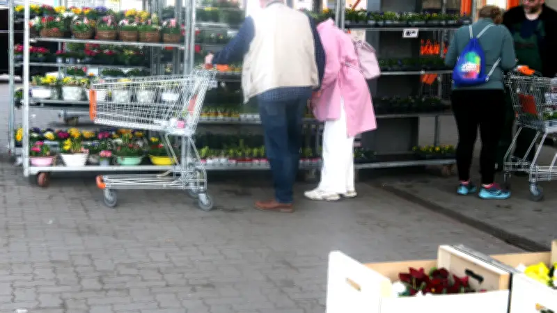 Gartensaison in Parchim startet: Blütenpracht und Gartengeräte im Fokus