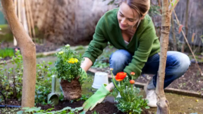 Gartenstart im März: Diese Pflanzen dürfen jetzt ins Beet – wichtige Tipps für Hobbygärtner