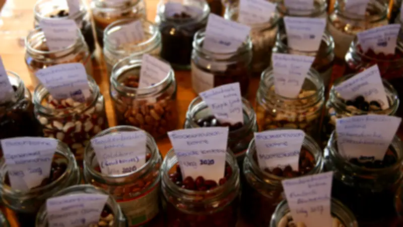 Gartentipps und Saatgutbörse in Malchower Bibliothek: Start in die Gartensaison