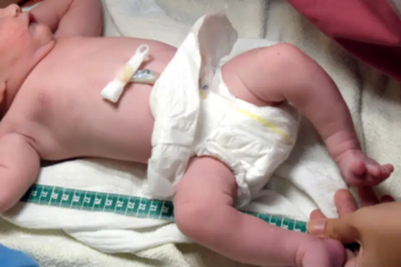 Geburtshilfe in der Krise: Sachsen-Anhalts Entbindungskliniken halbiert - lange Wege für Schwangere